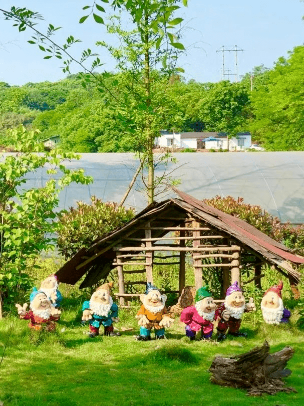 五一出游季|农场撒欢,田间奔跑,感受风和自由_地址_自然_山野