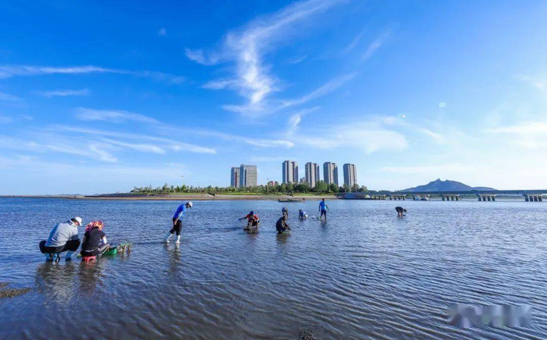 榮成市青少年科教中心位於櫻花湖體育公園東側,整體建築猶如被海水