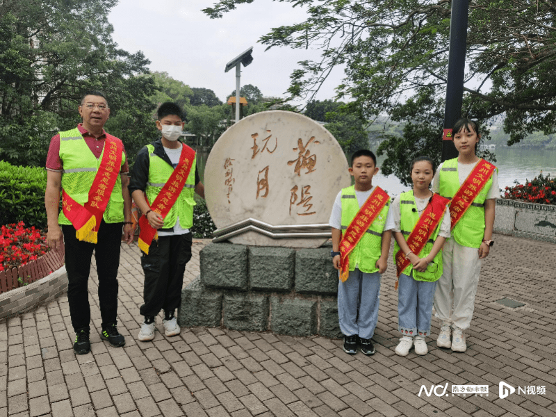 茶油树（茶油树怎么种植油茶树怎么管理） 第3张