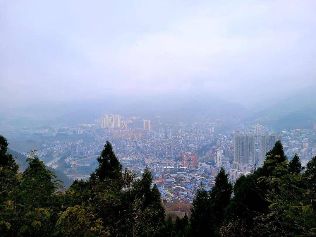 古藺初夏的味道,你嘗過嗎?_火星_公園_廣場