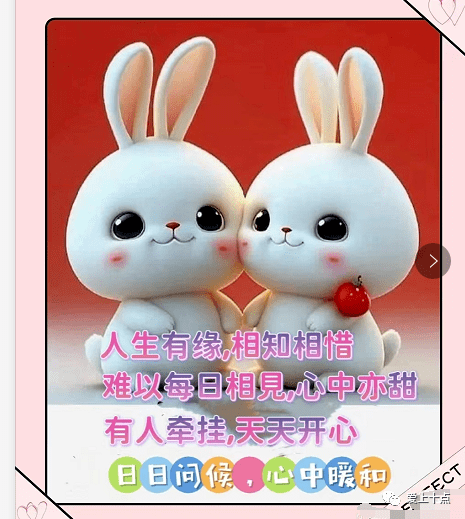 今日最新早上好表情图片大全,天亮了,美好的一天又开始了