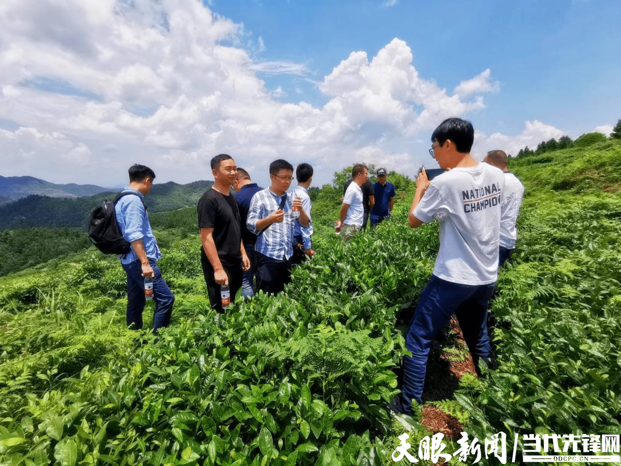 热点关注|贵州省博士协会到大方县开展博士工作站建站调研_一行_服务_科技