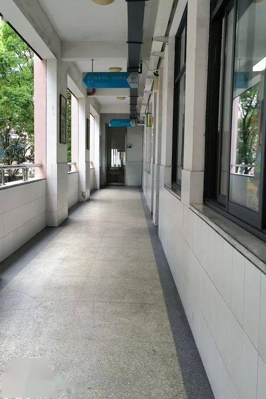 "一文一武"专项行动 96衢州新星小学:劳动促成长实践创幸福_活动