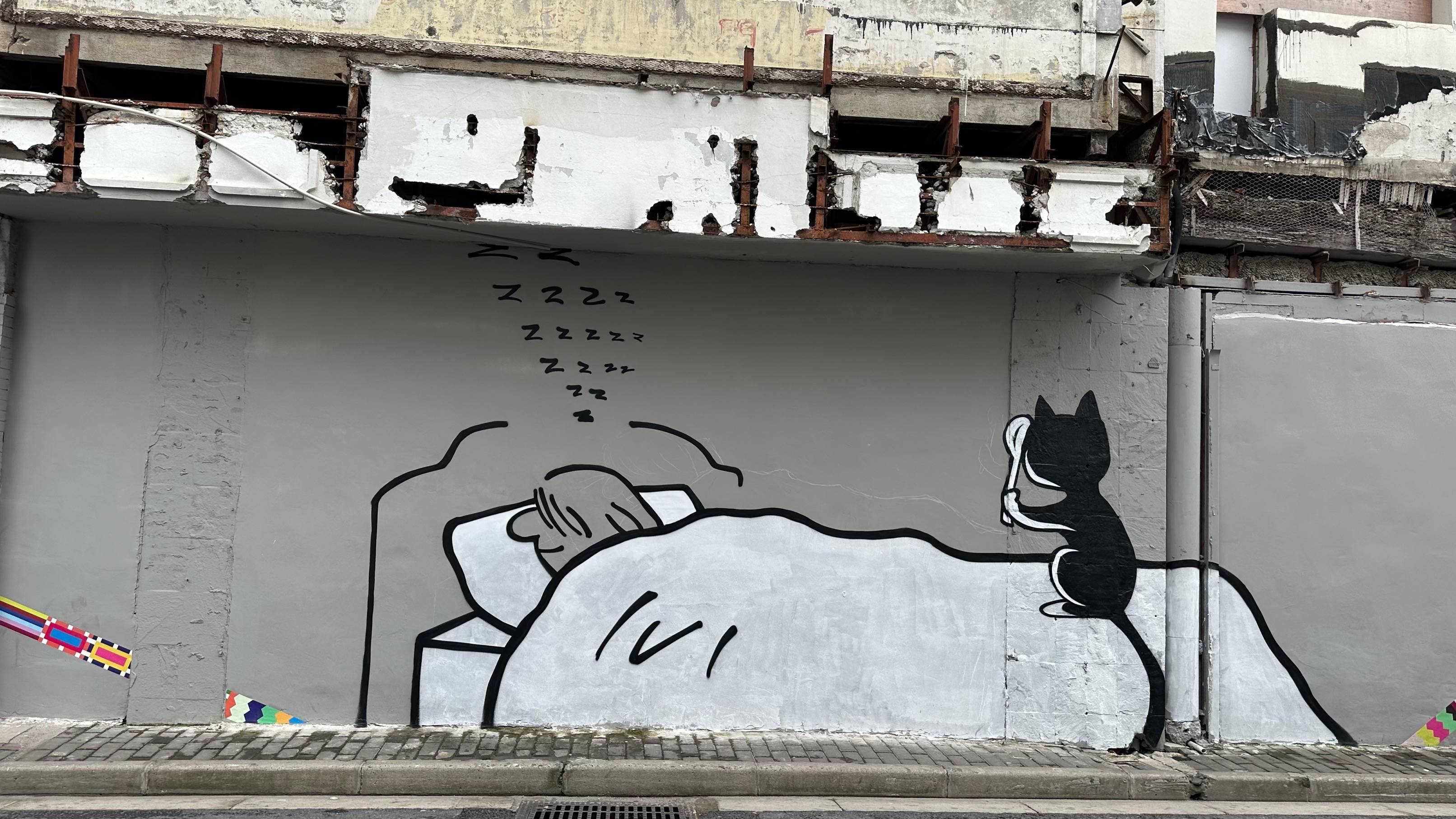 “外滩猫街”背后的艺术家Tango：猫是能疗愈人心的宠物