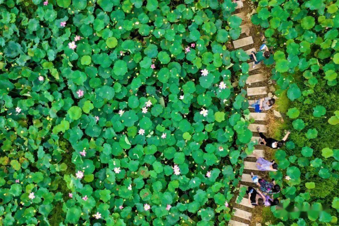 城因人聚而兴,人因城兴而居.