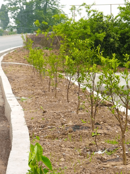 威远这个村竟变成这样…_改造_村民_荣村