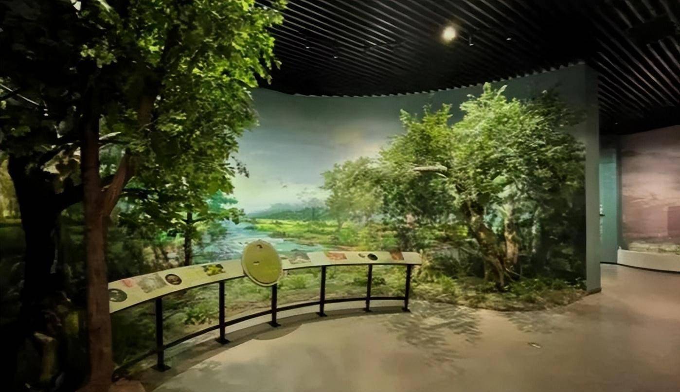 万卷石史——临朐山旺生物群布展进行中……_文化路_新馆_来源