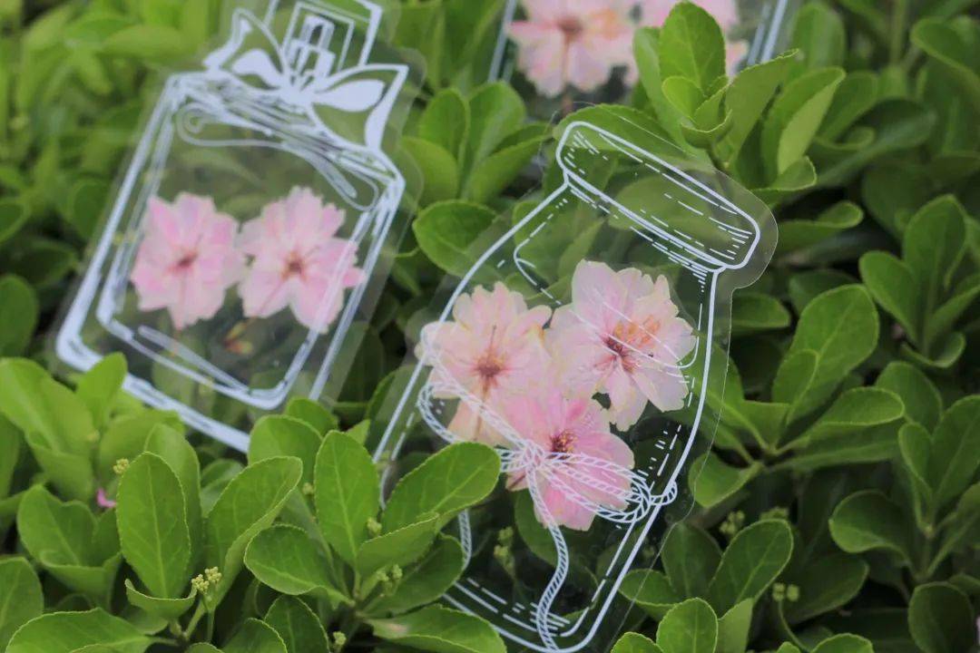 书签_鲁东_大学