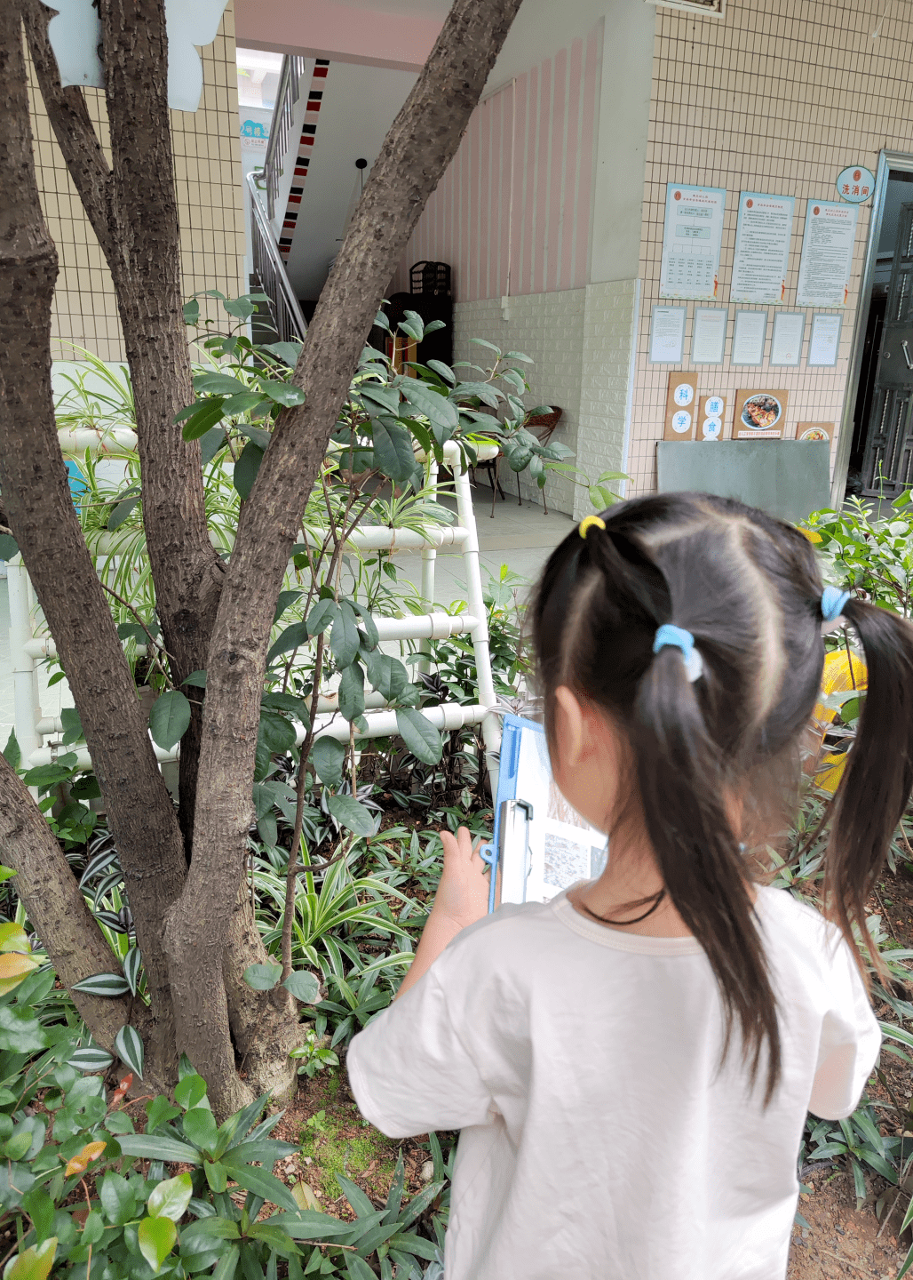 【雅正幼·教研】教与研携手,学与思并肩——雅正幼儿园科学自主探究