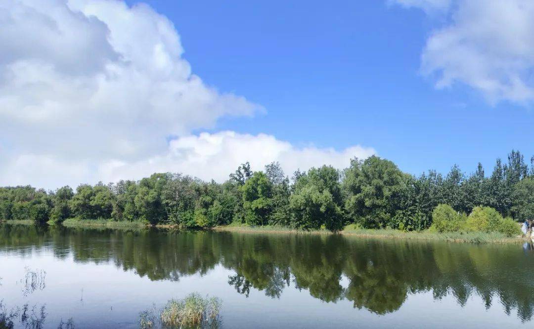 扮靓乡村振兴路——辛口镇持续推进农村人居环境卫生