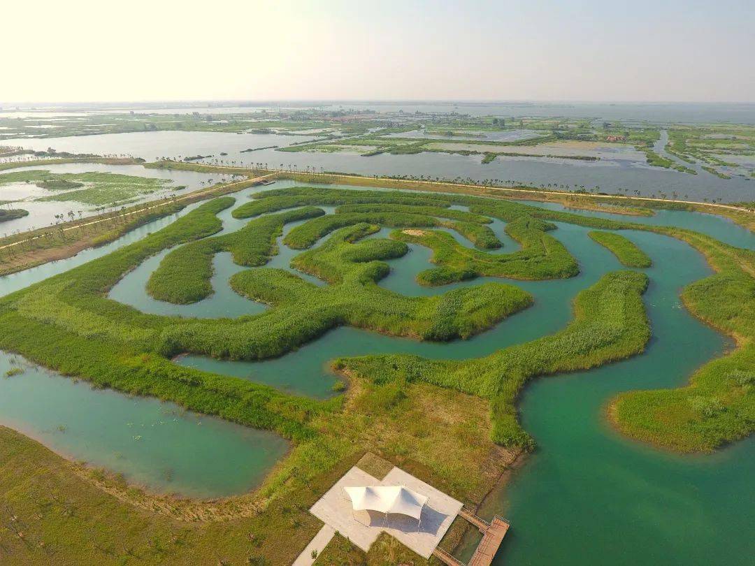 白马湖湿地图片