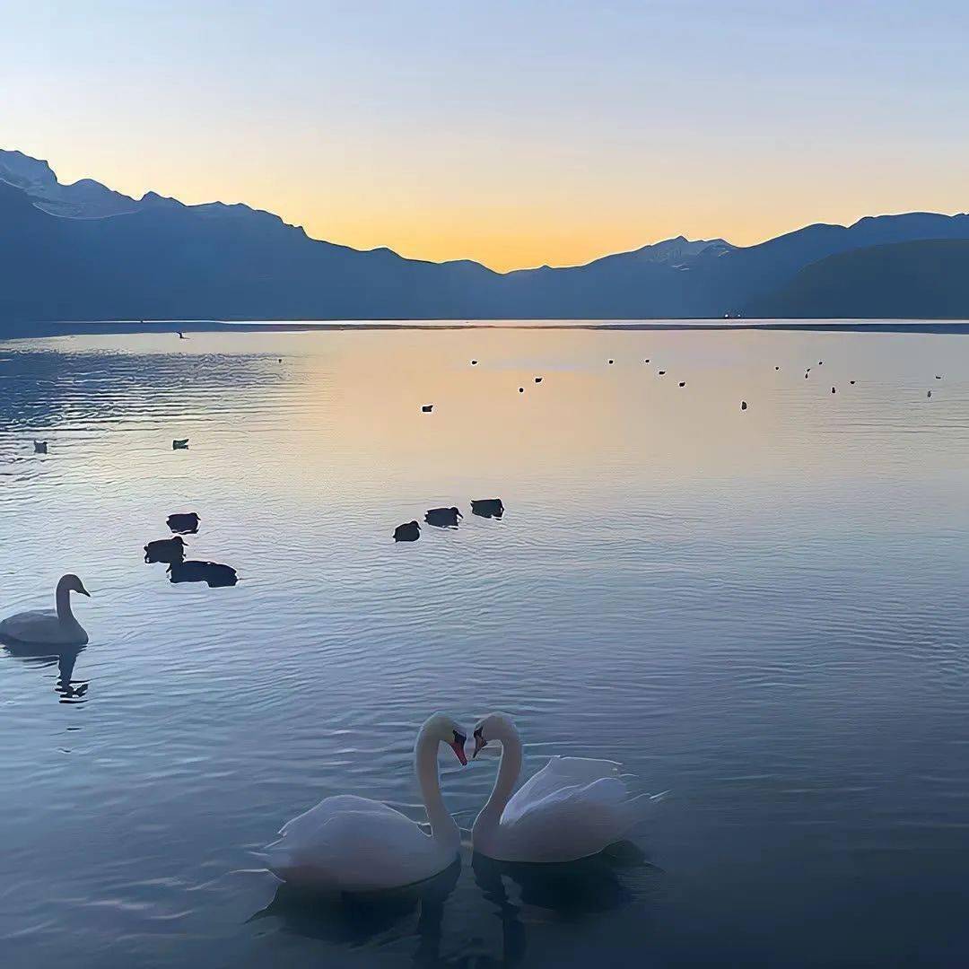 背景图|ins风高级感背景图_礼物_版权_整理