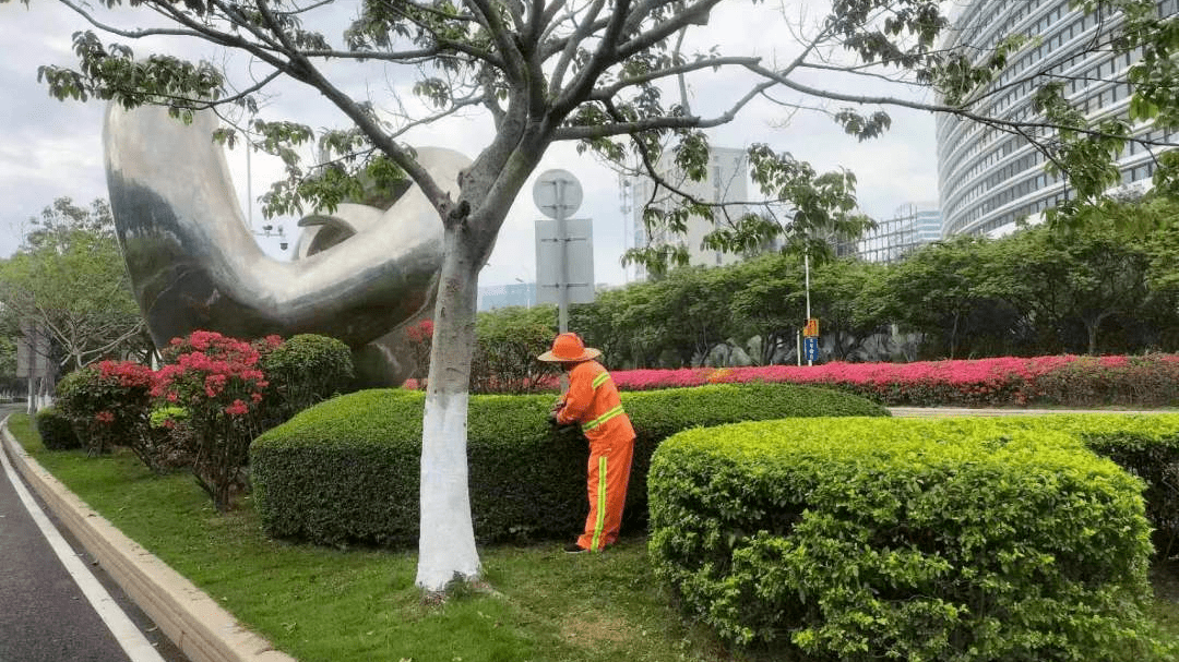 精细修剪,为城市景观添新颜