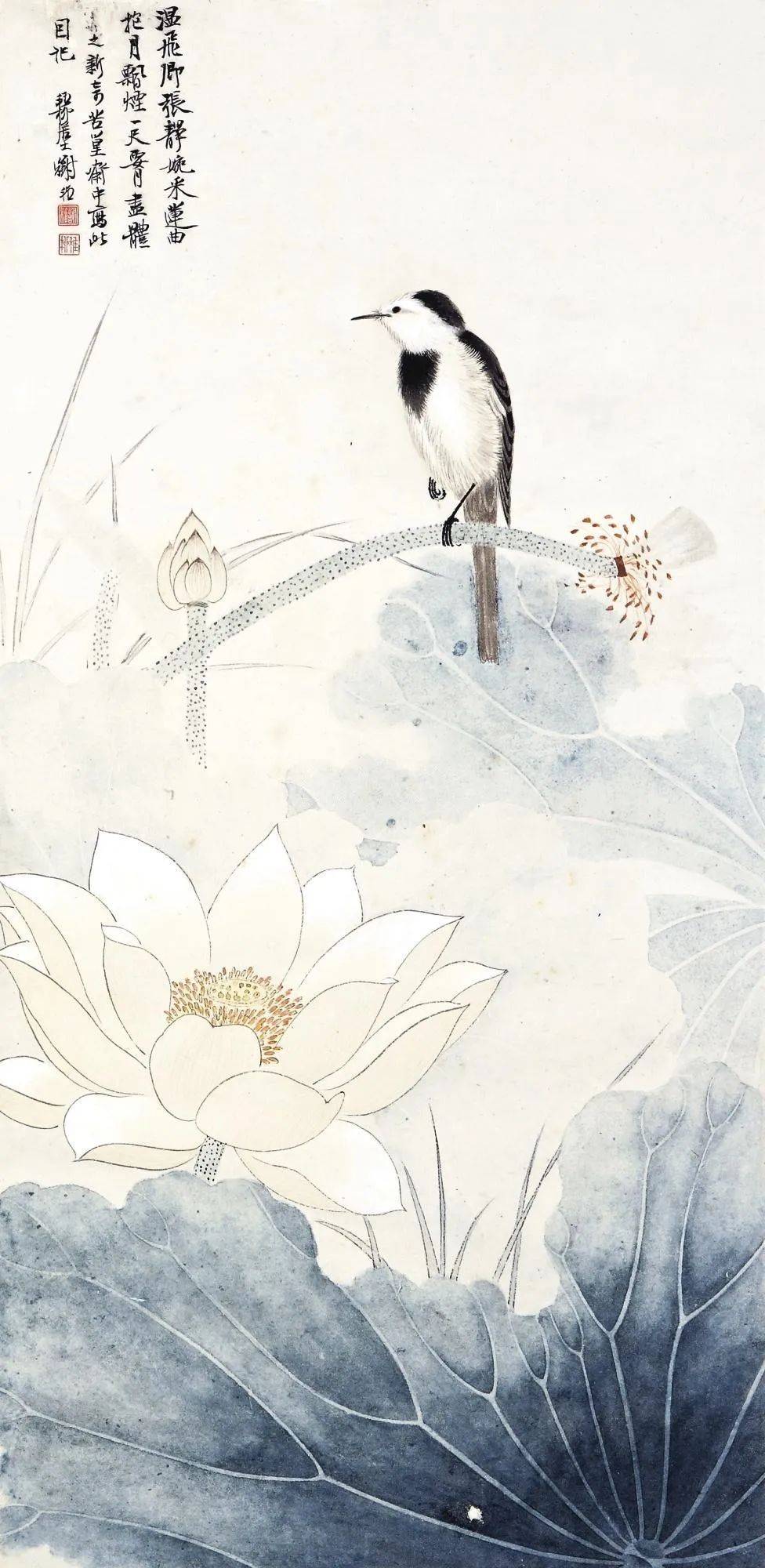 仙气荷塘,美翻了_谢稚柳_国画_荷花