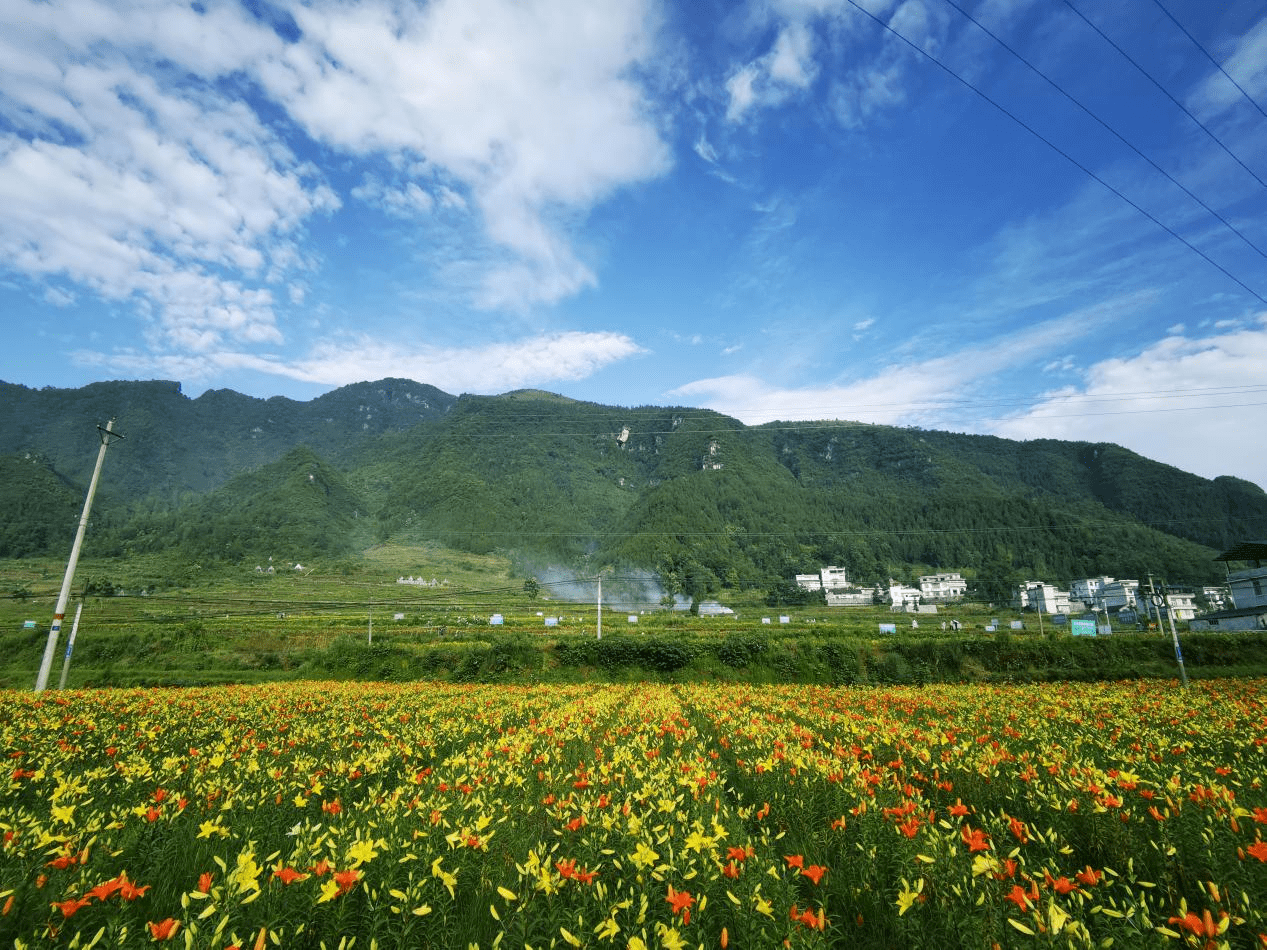 鲜花培训（太原花艺培训插花培训鲜花培训） 第3张