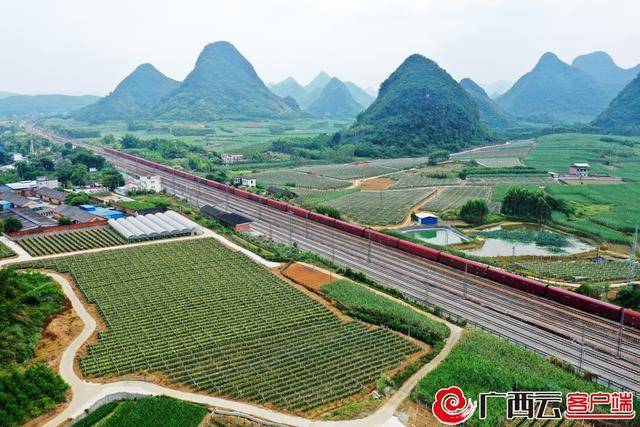 柳州市柳南区洛满镇古洲村聚焦"五个振兴"打造广西乡村振兴示范村样板