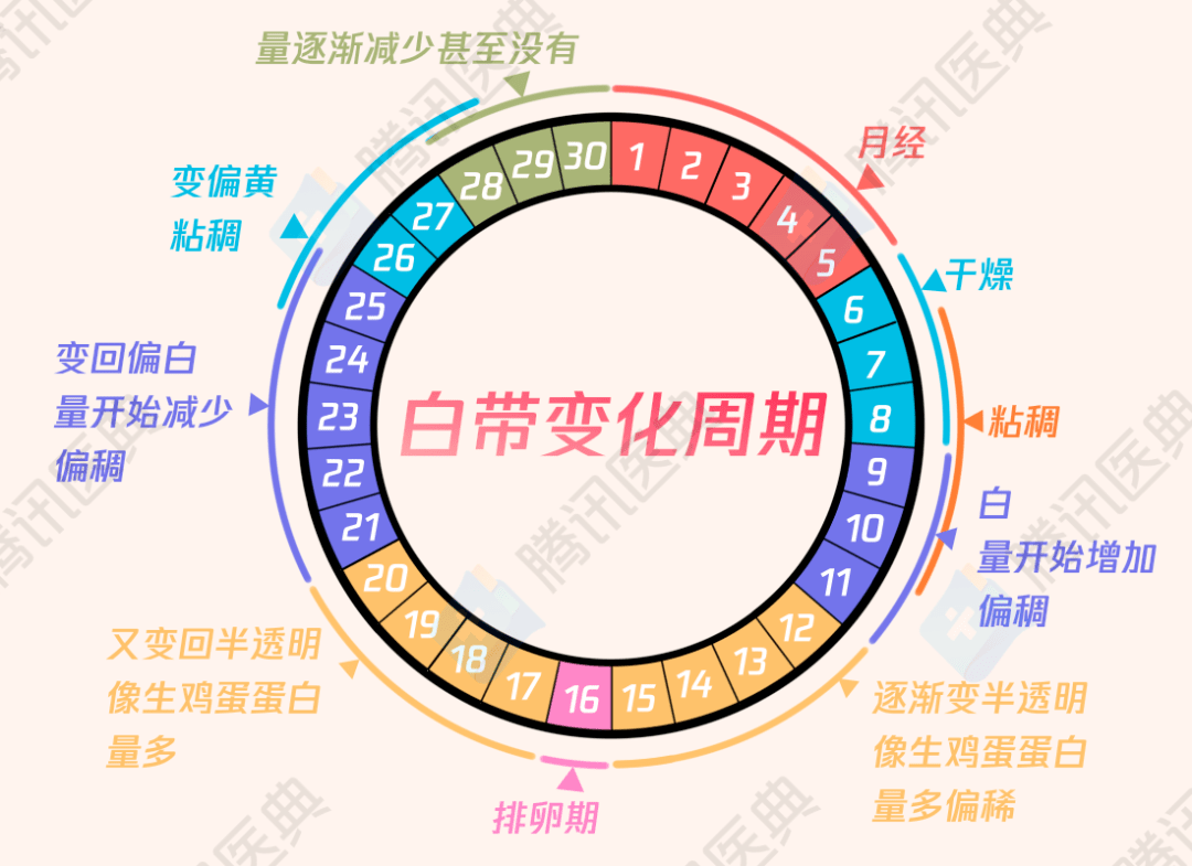 分泌物颜色对照正常图片