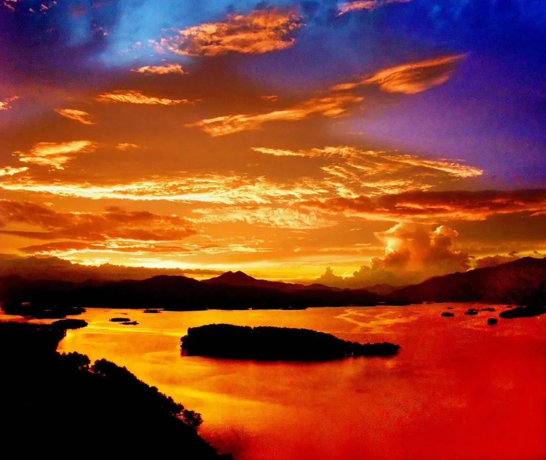 还有一片片的禾雀花,花似小鸟,在藤蔓上串串吊挂,犹如万鸟栖枝,一藤成