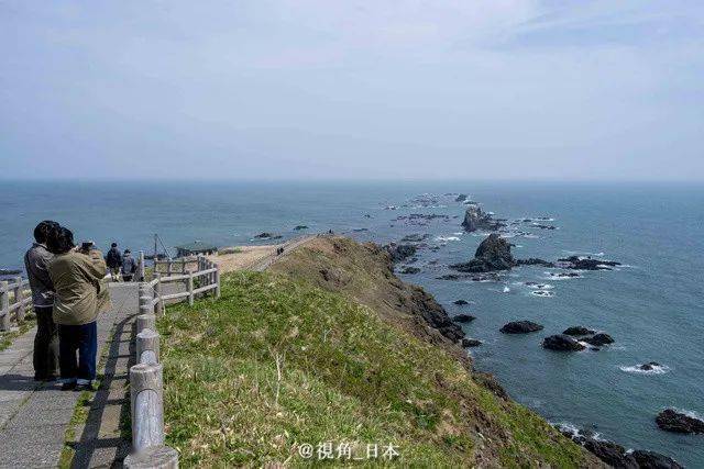 據推算,棲息在襟裳岬的港海豹約有830只,佔日本國內總數的近一半.