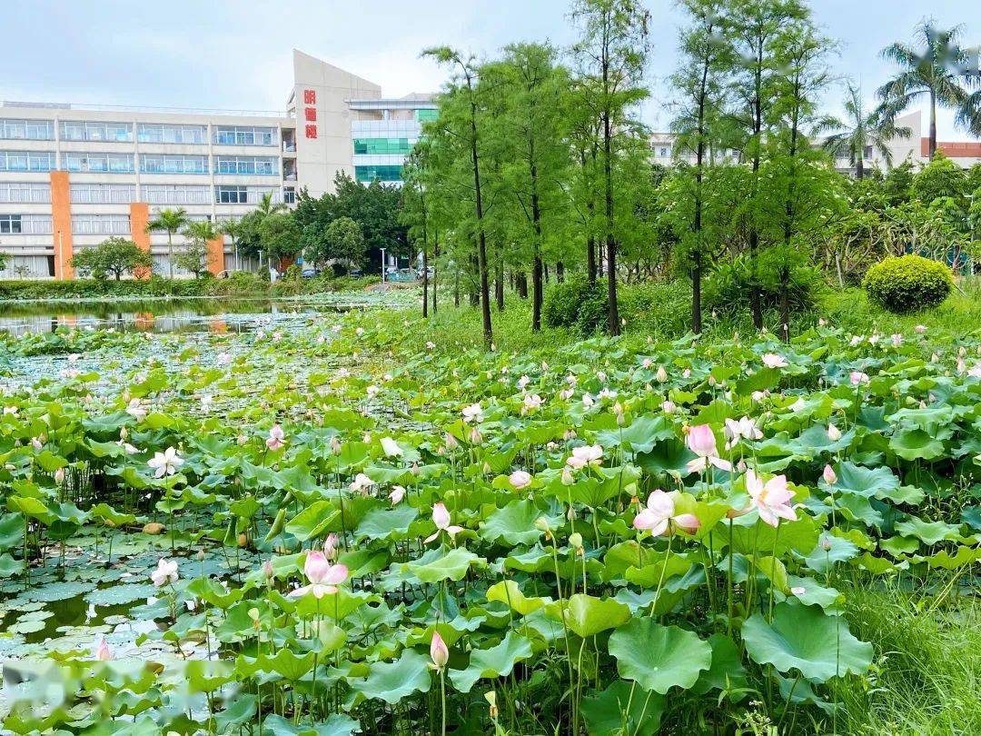 择校菌推出【走进大学序列专题推文】—【珠海城市职业技术学院】
