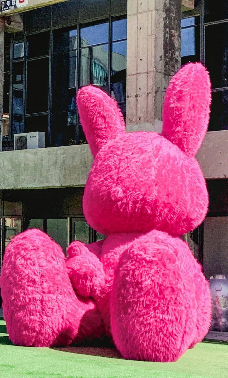巨型粉色兔子消失图片