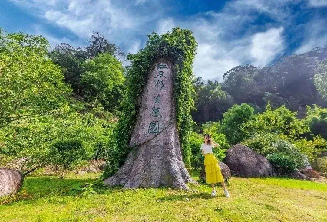【感恩母亲】母亲节的礼物,古田梅花山景区为您准备好了~_项目_索道