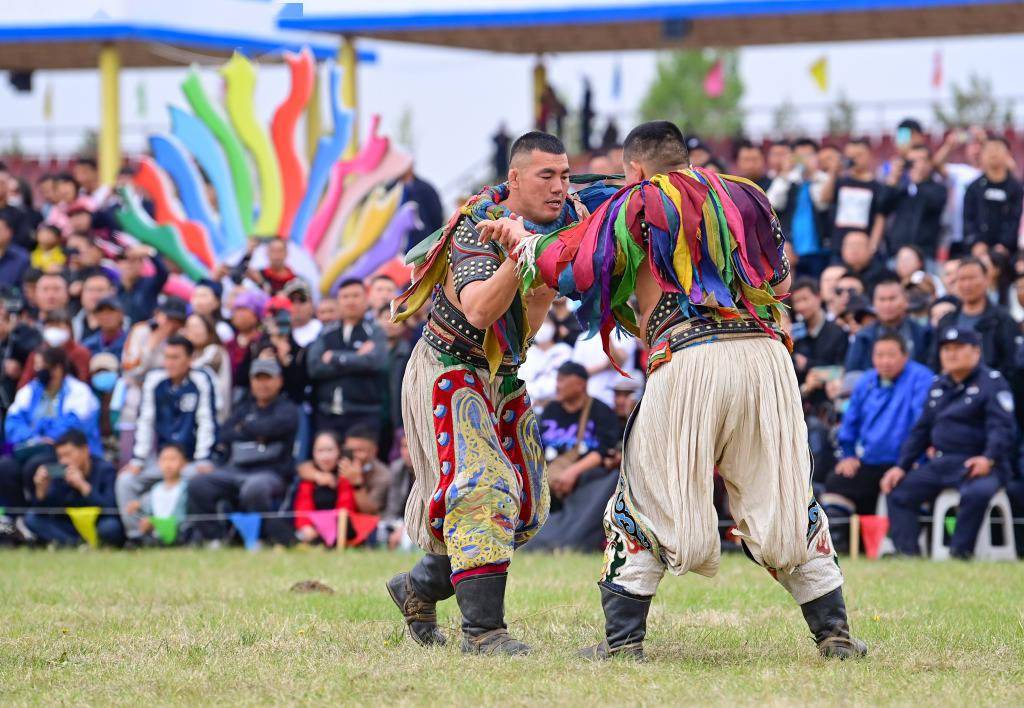 内蒙古鄂尔多斯:查干苏鲁克大典举行,512名搏克手披挂上阵