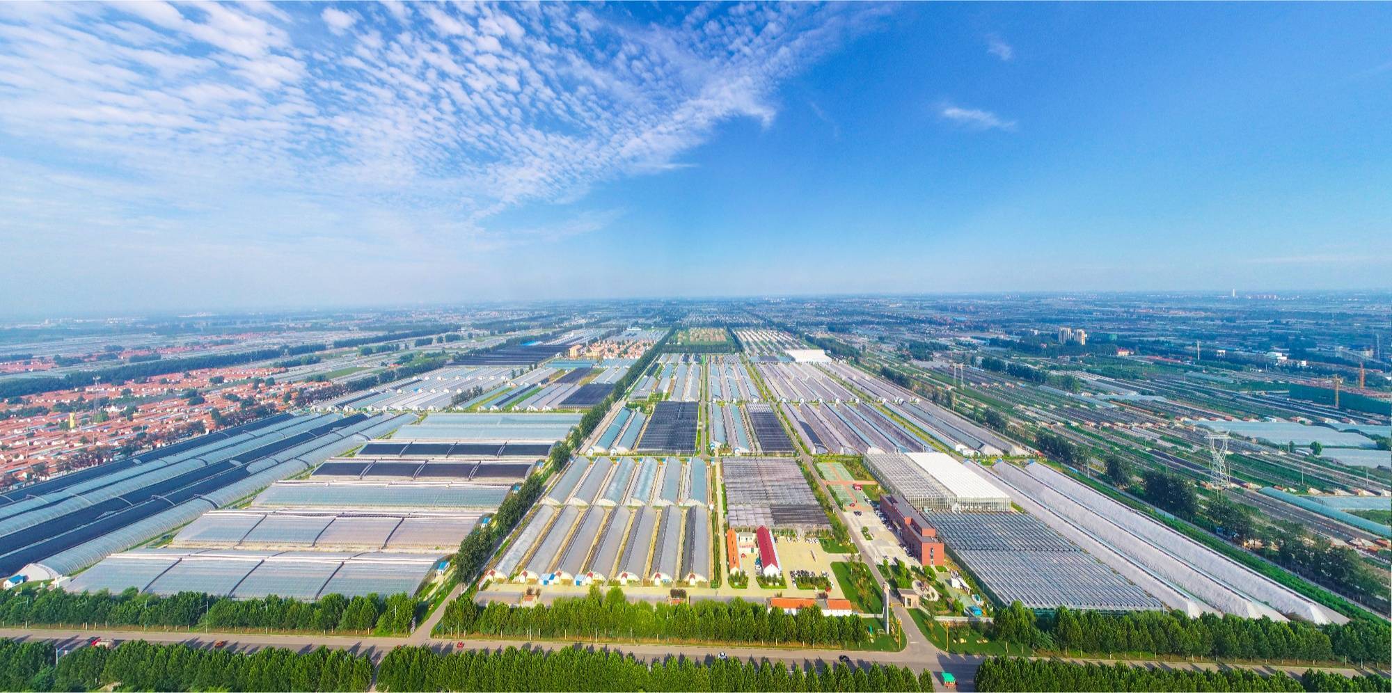 从输出技术到全链条输出"园区"模式 寿光蔬菜跨入"园区"时代