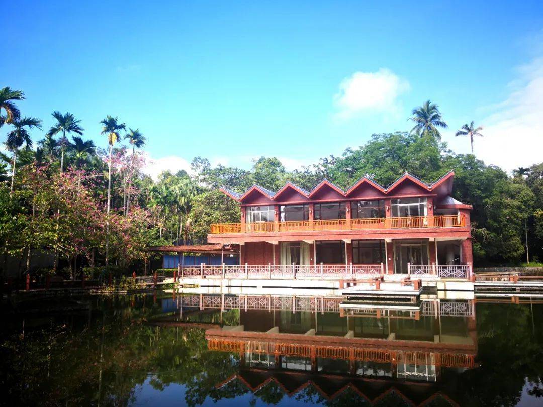 万宁市兴隆南药园拟被确定为国家3a级旅游景区_园区_植物_椰子大观园