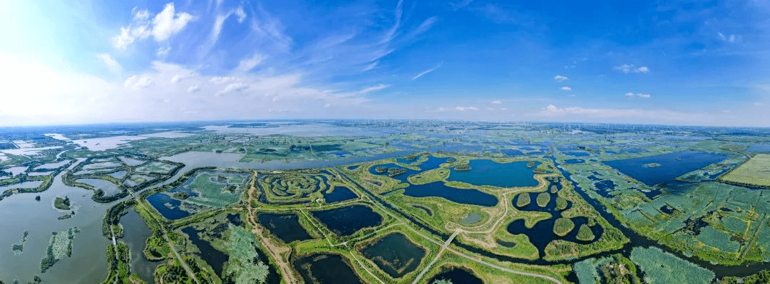 白马湖湿地图片