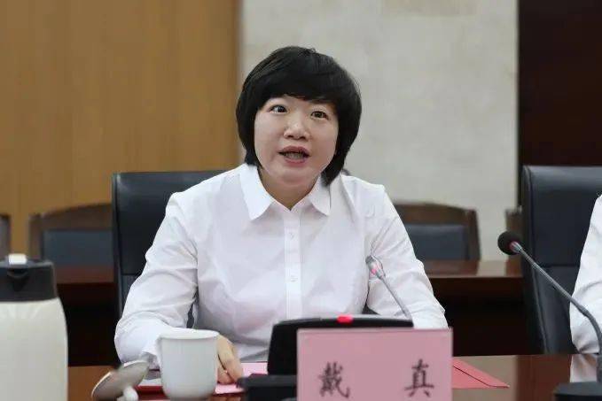 平阳法院党组书记,院长戴真讲话.