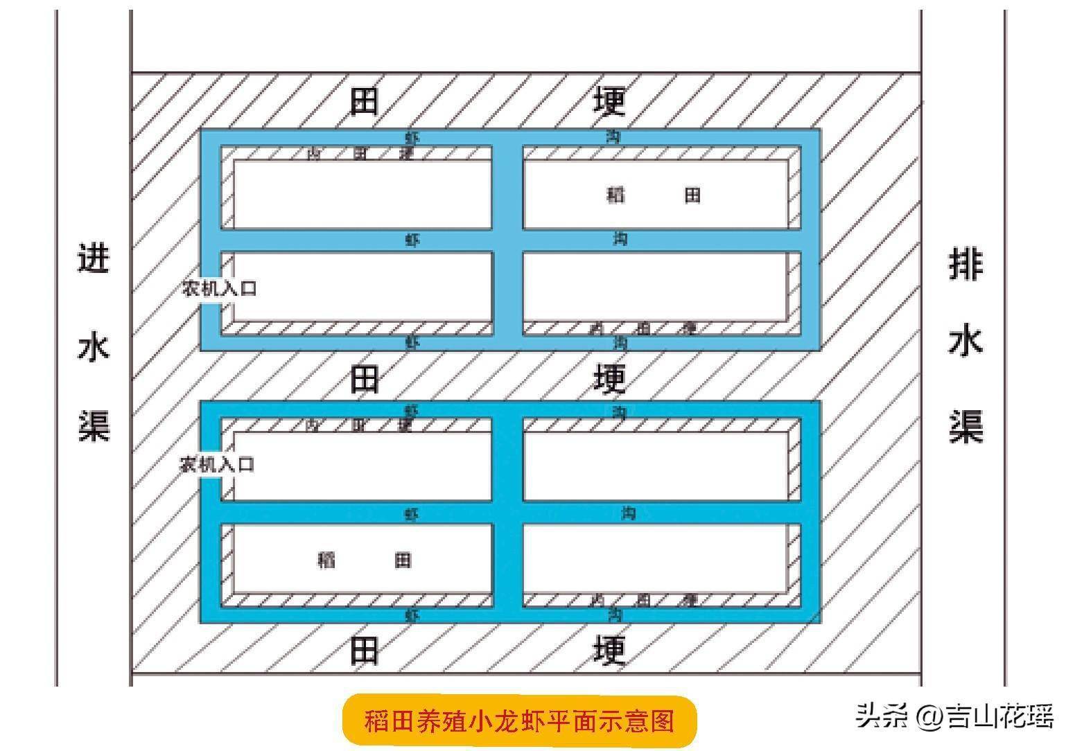 鱼塘台田模式示意图图片