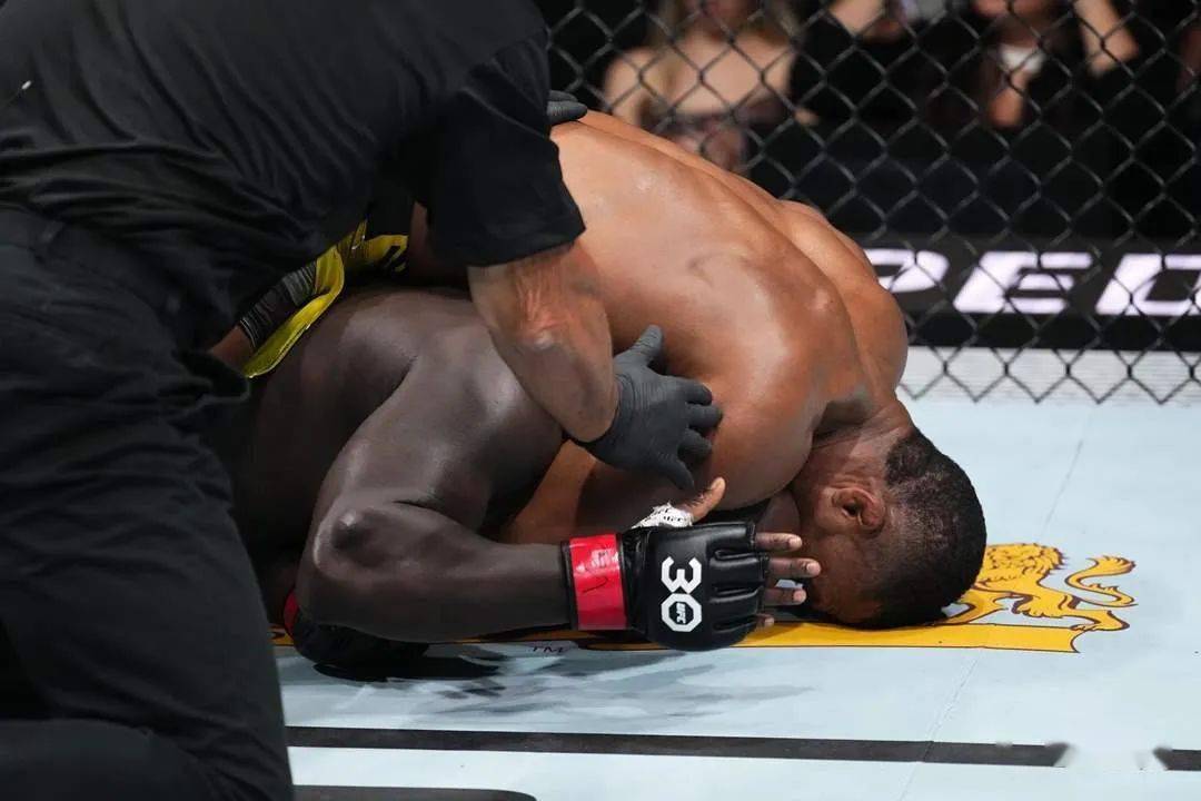 ufc综述:阿尔梅达降服罗森斯楚克_沃克_对手_史密斯