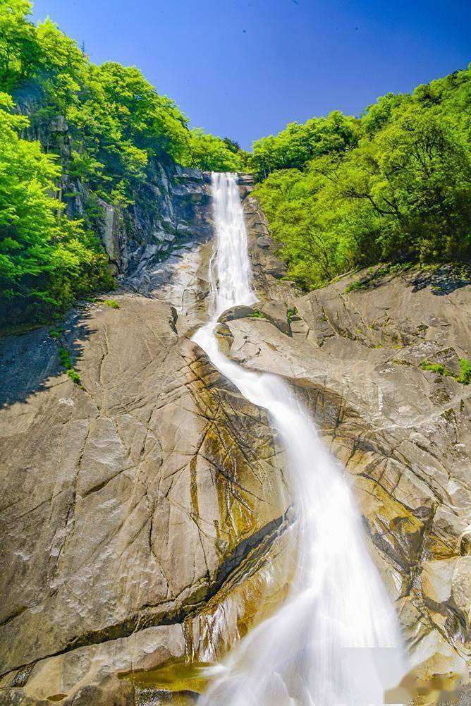 初夏云雾山_勉县_景区_海拔