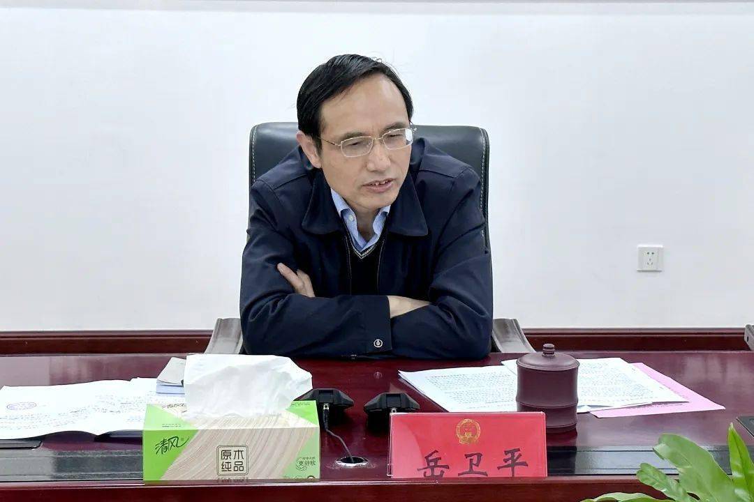 岳卫平带队调研全市开发区人大工作情况_发展_问题_做法