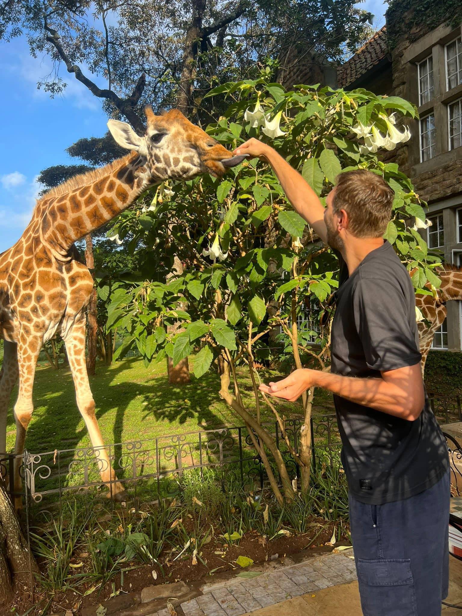 诺维茨基喂长颈鹿:上面的空气怎么样?_德克_身高_问题