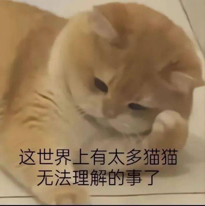 热门微信聊天表情包:你来打我啊~略略略_生活_因为_熊猫头