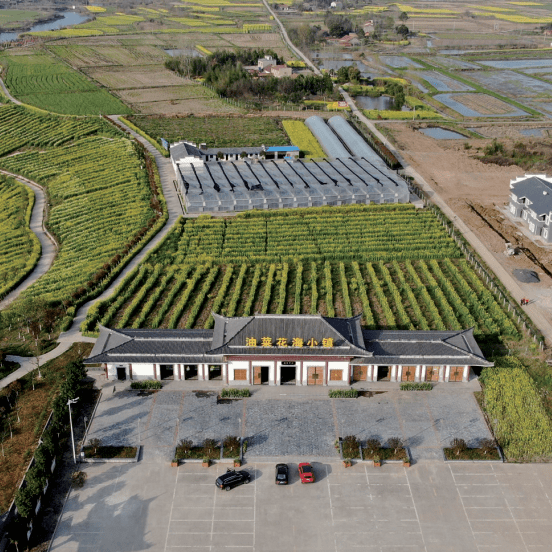 来荆门!寻觅田园诗意慢生活_农业_油菜花_沙洋县