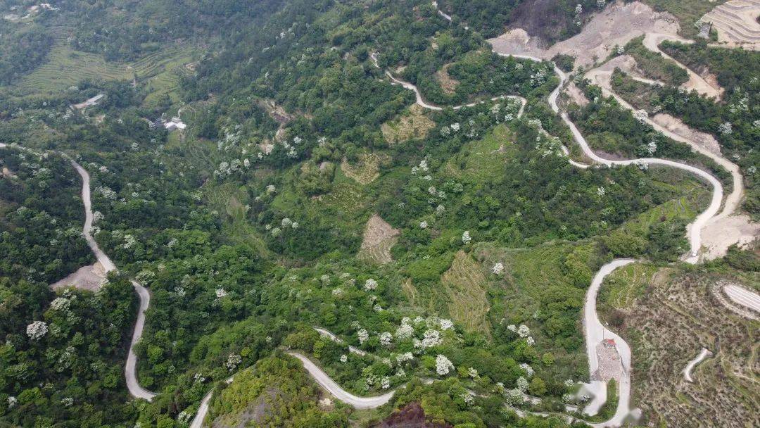 该项目连接水头镇鹤溪平原与蔡垟山,又与瑞安市平阳坑镇交界,建成后对