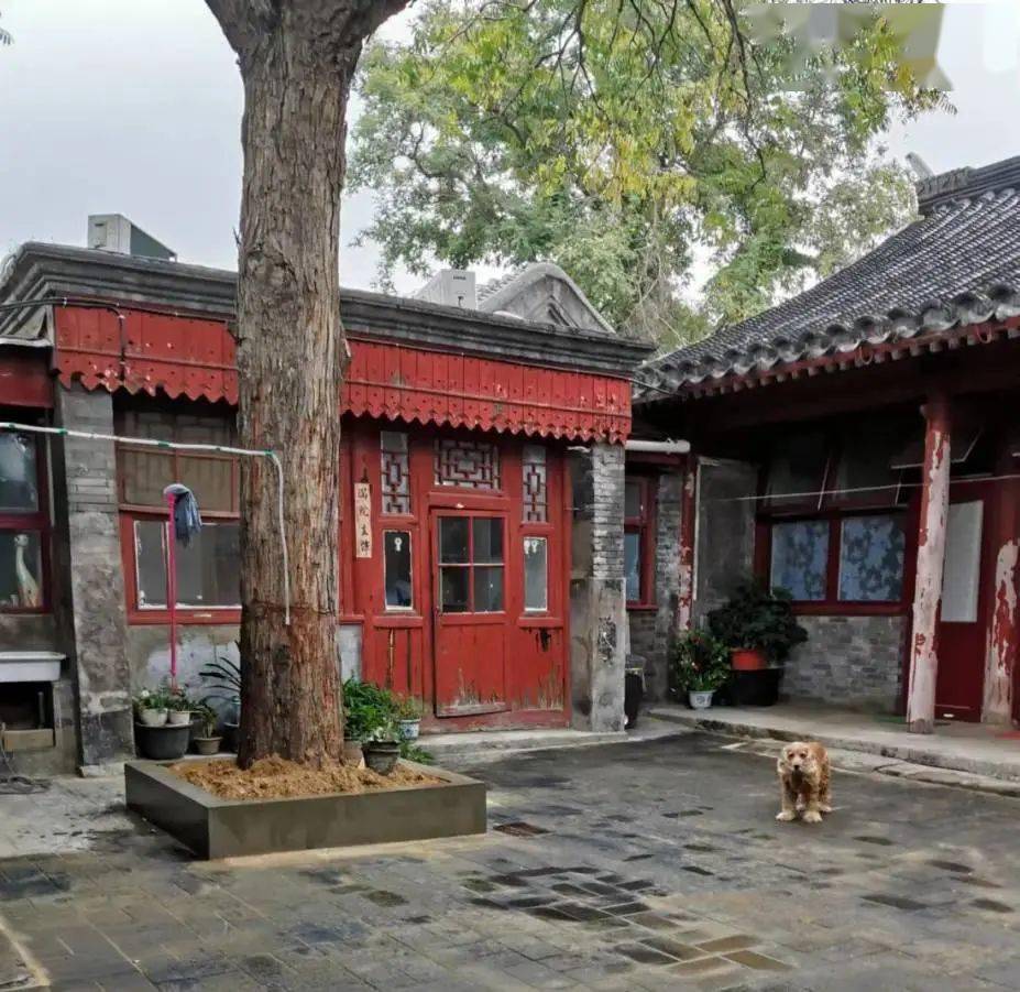 喜报!东城区朱茂锦家庭荣获全国最美家庭称号