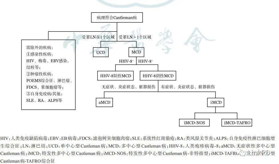 ②血清鹼性磷酸酶升高但 轉氨酶升高不明顯.