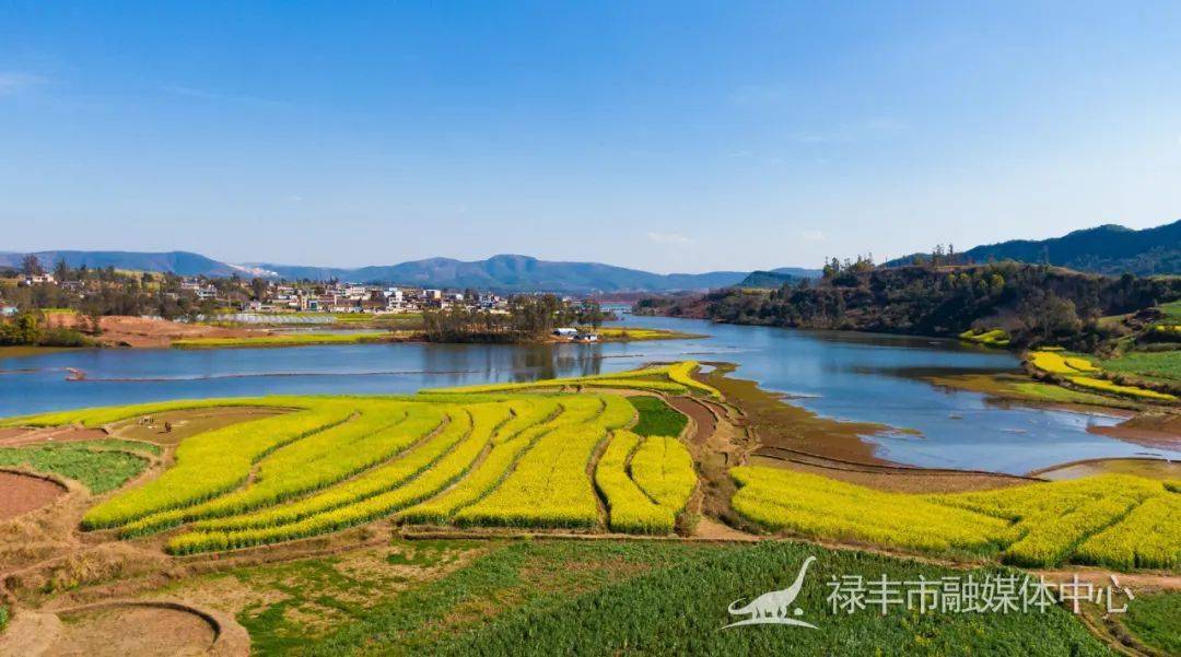 禄丰:将全力打造东河田园综合体促乡村振兴