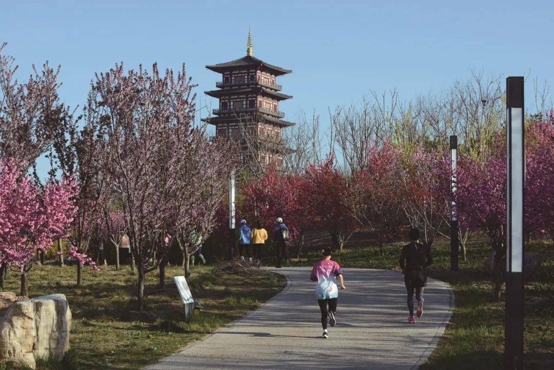 看唐山花海!_开平_建设_生态