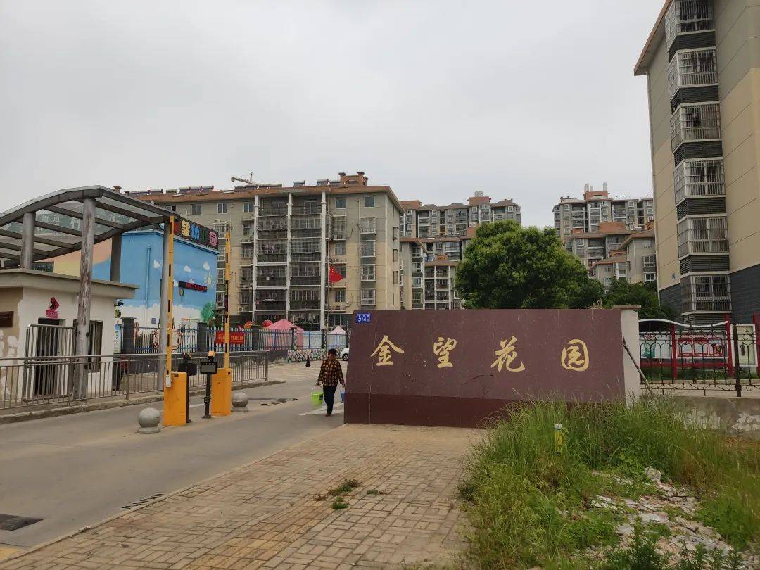 短短百米路,怎么这样难修?_小区_居民_道路