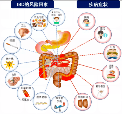 并发症主要为腹痛,腹泻,粘液脓血便,发热,食欲减退,消瘦,营养不良