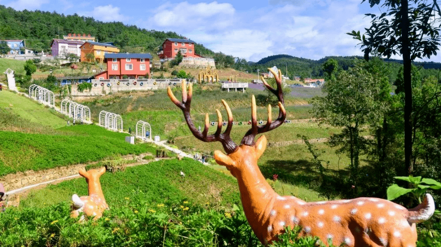 定了!今天广元一大批景区免门票