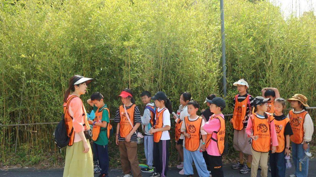 绿水青山研学营