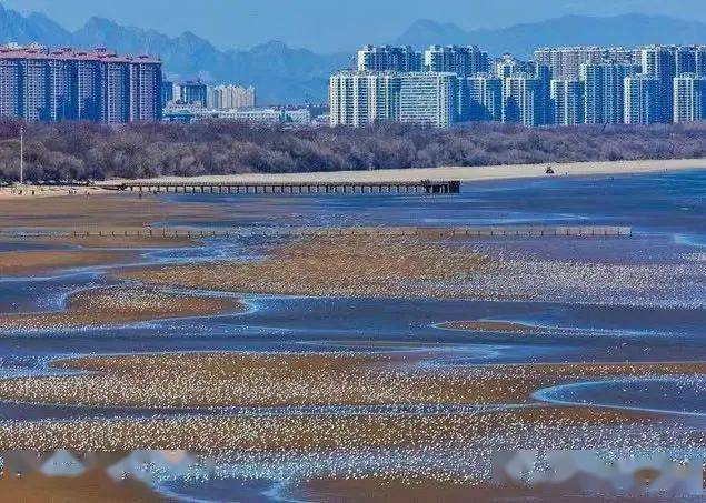 位於北戴河海濱的東北角,毗鄰濱海大道,是秦皇島市北戴河風景名勝區