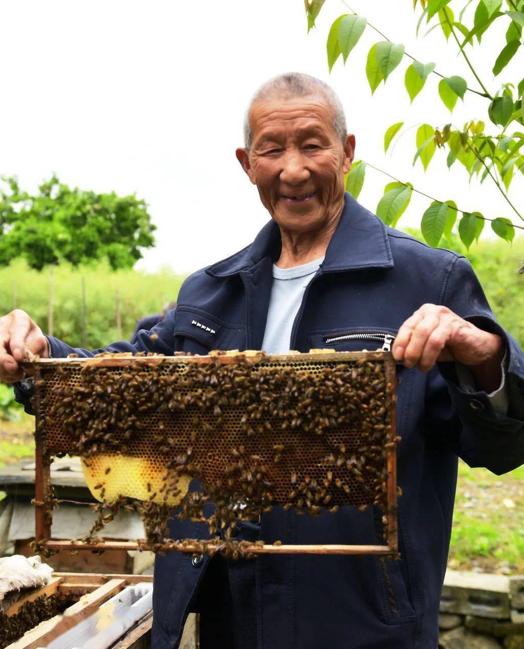 秀山县残疾人联合会2023年"共享阳光61关爱残疾人"摄影展入选作品