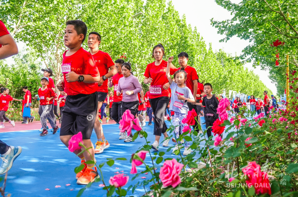 2023北京花马在大兴开跑,6000名跑者畅享林间花海_月季_马拉松_活动